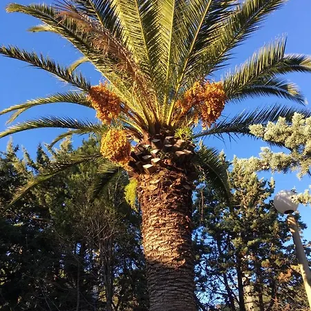 With One Bedroom In Raphael With Shared Pool And Wifi 100 M From The Beach * Saint-Raphael (Var)